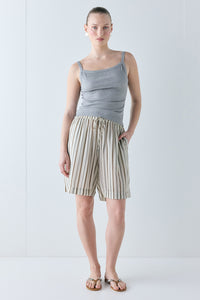Astra Shorts Brown Stripe