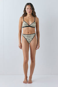 Heidi Briefs Leopard