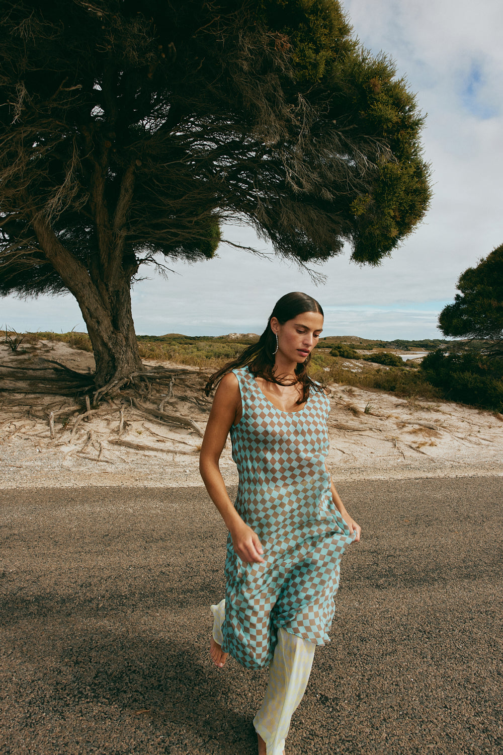 Alora Sheer Maxi Dress Anais