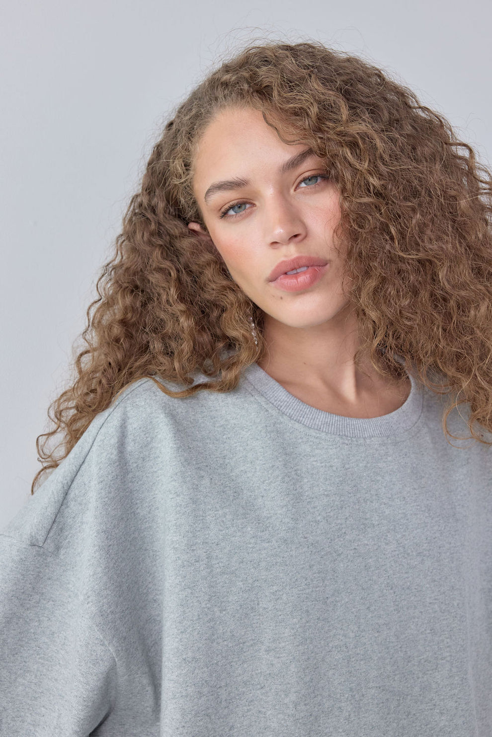 Hudson Tee Grey 