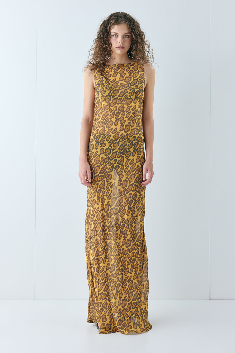 Cecelia Sheer Maxi Dress Leopard – VRG GRL