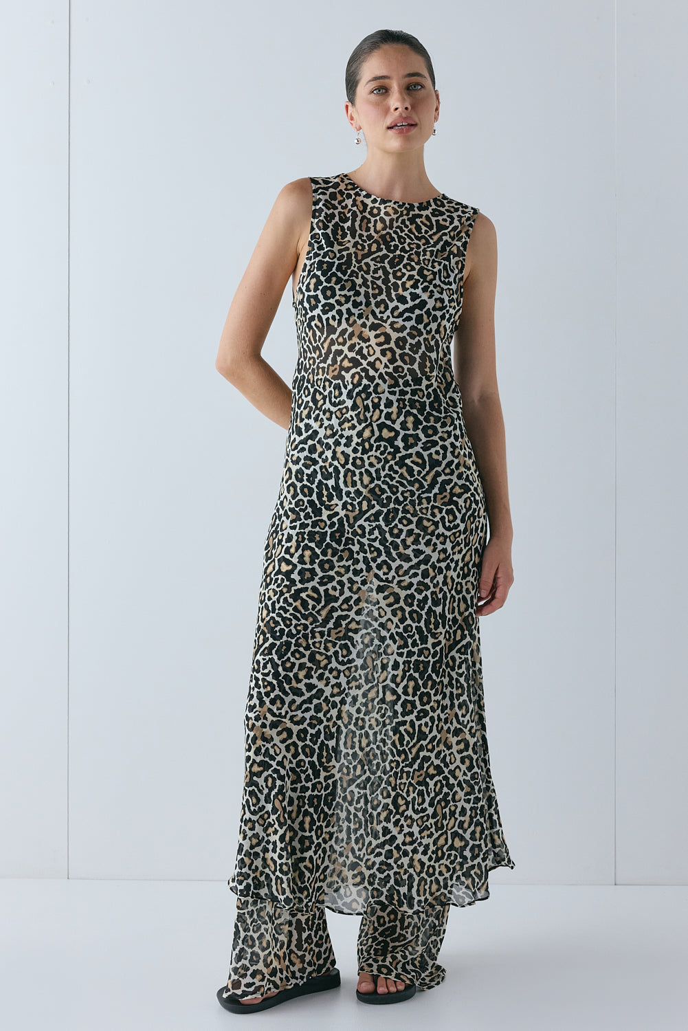 Remi Sheer Pants Leopard