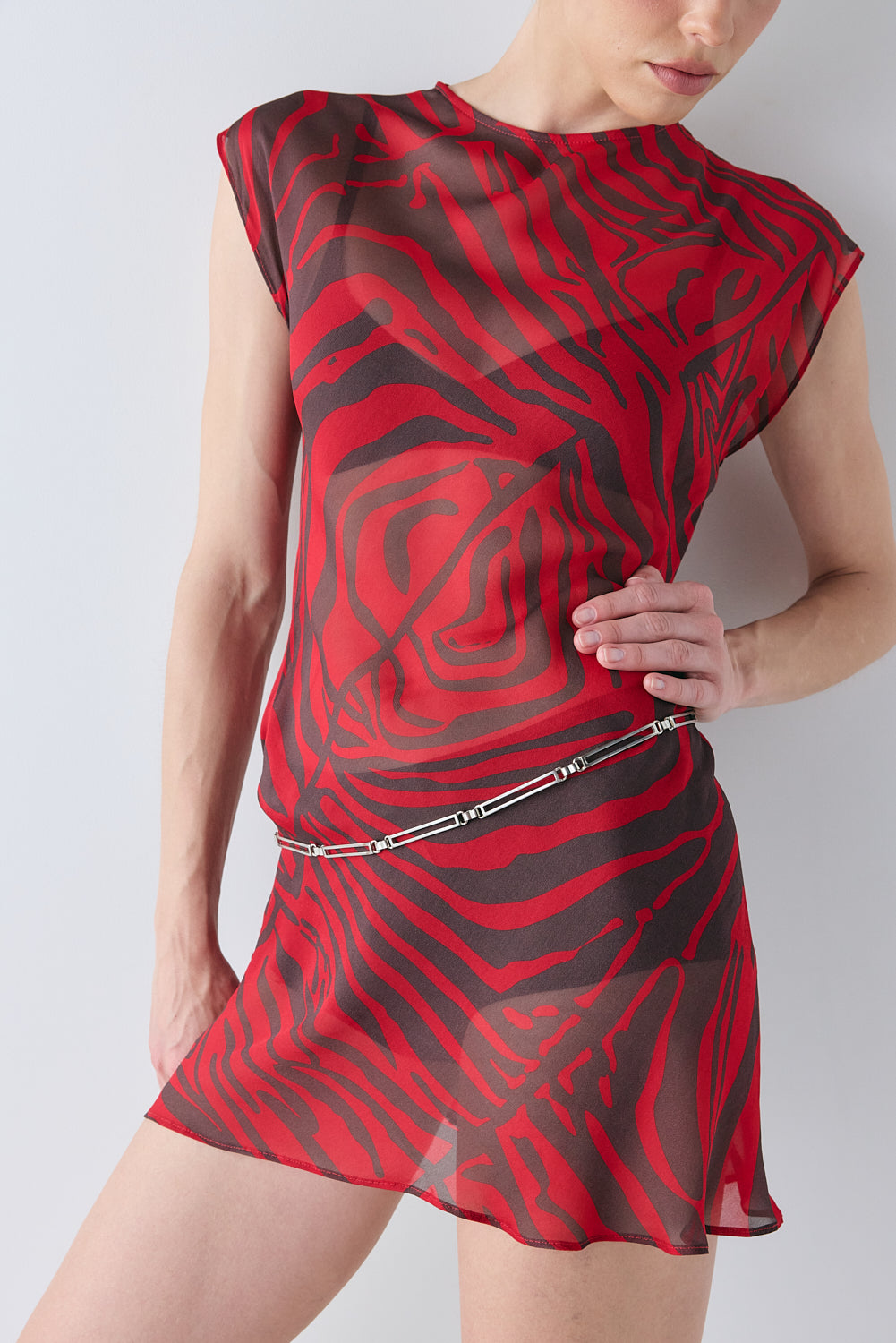 Ames Sheer Mini Dress Red Zebra