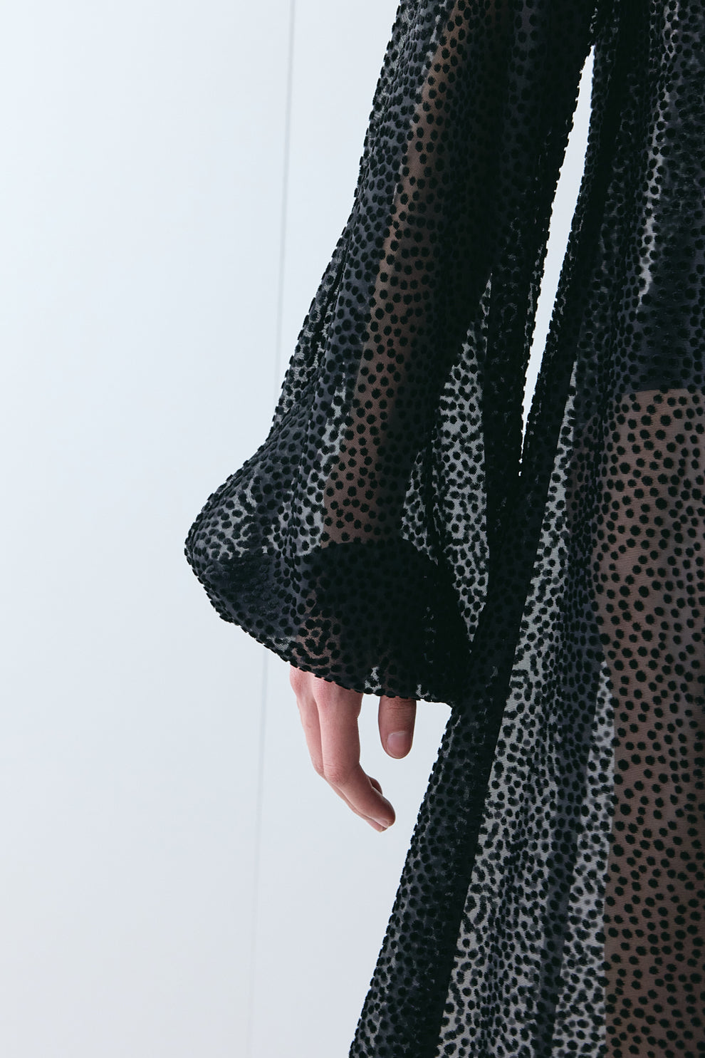 Fleur Sheer Maxi Dress Black
