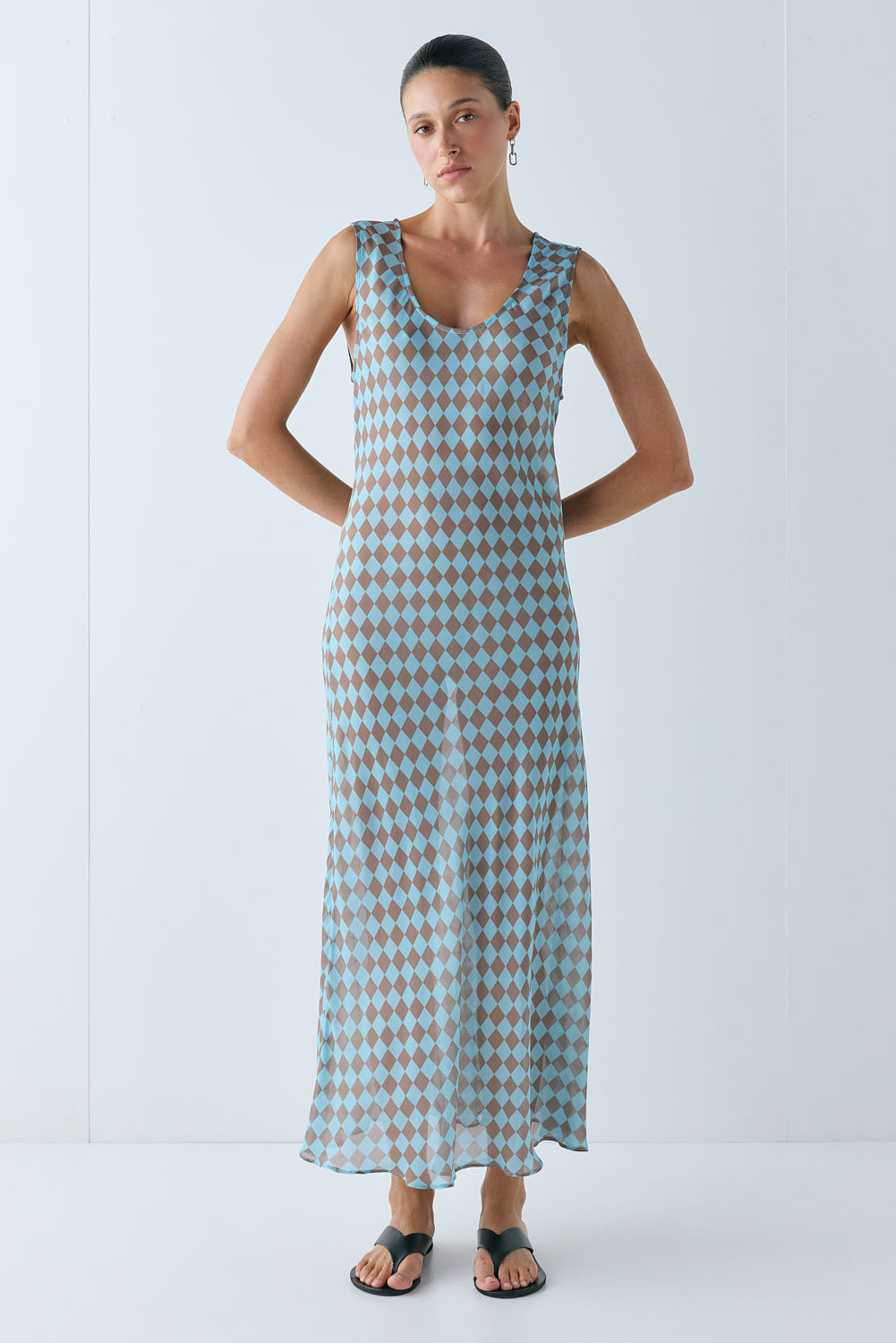 Alora Sheer Maxi Dress Anais