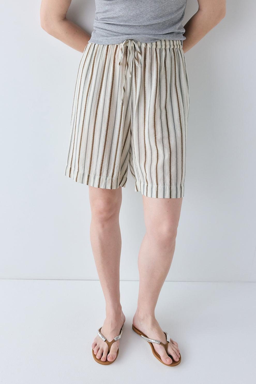 Astra Shorts Brown Stripe 