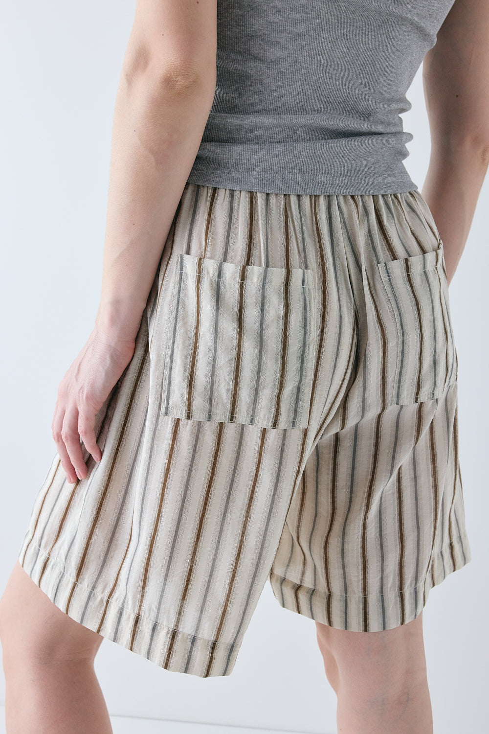 Astra Shorts Brown Stripe 