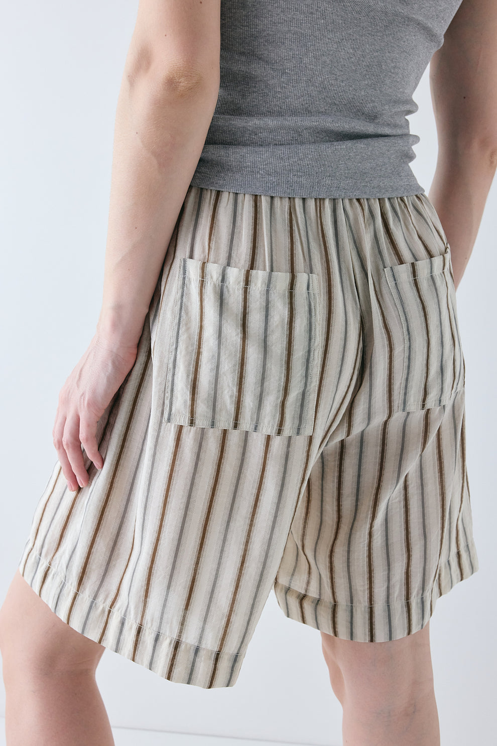 Astra Shorts Brown Stripe 