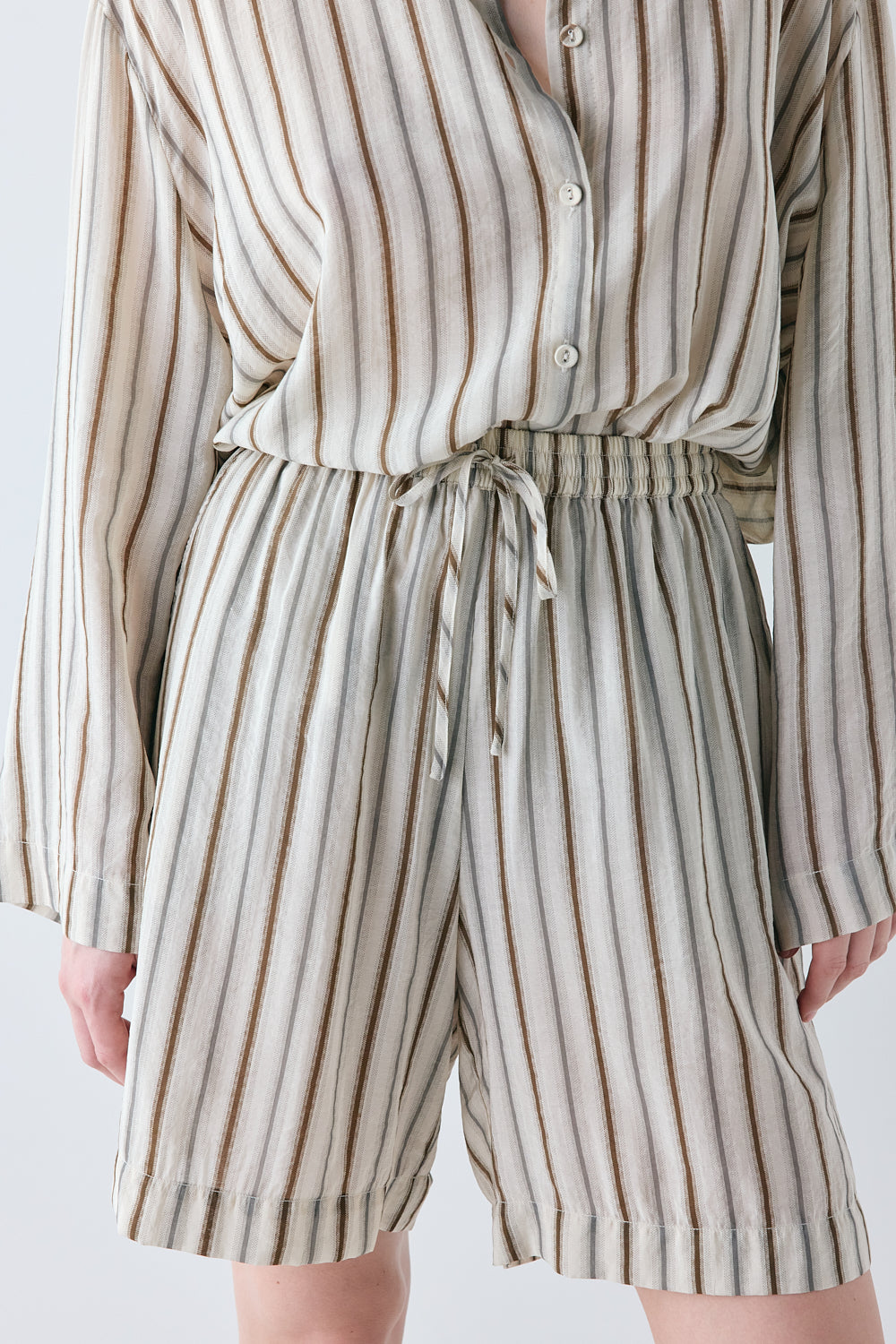 Astra Shorts Brown Stripe 