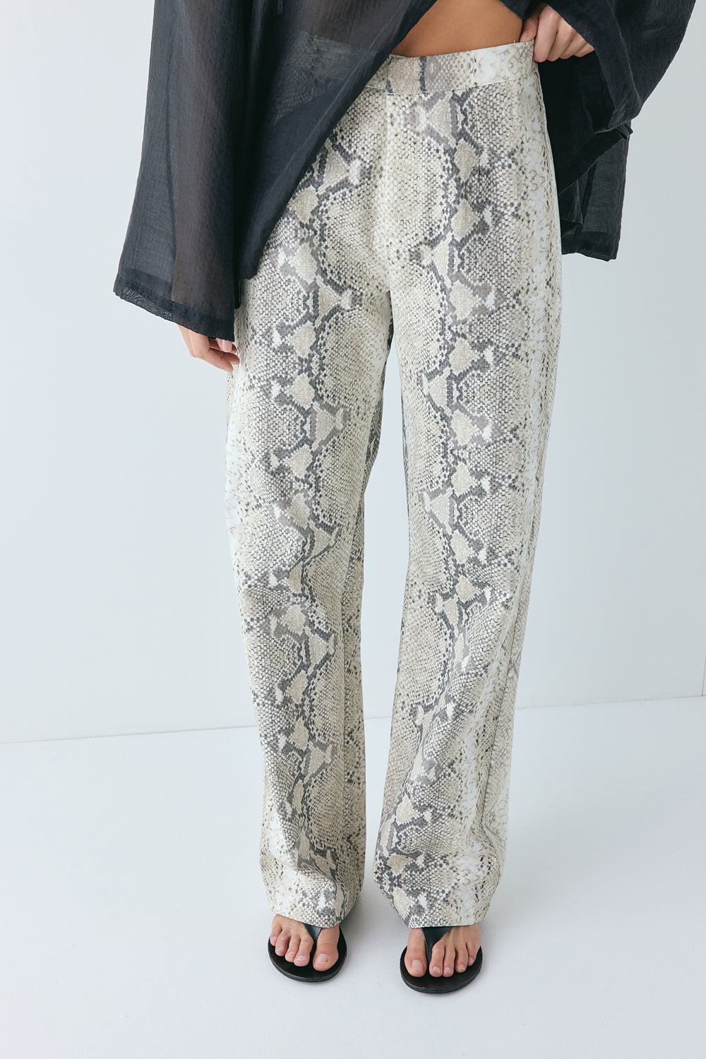 Rue High Rise Pants Snake