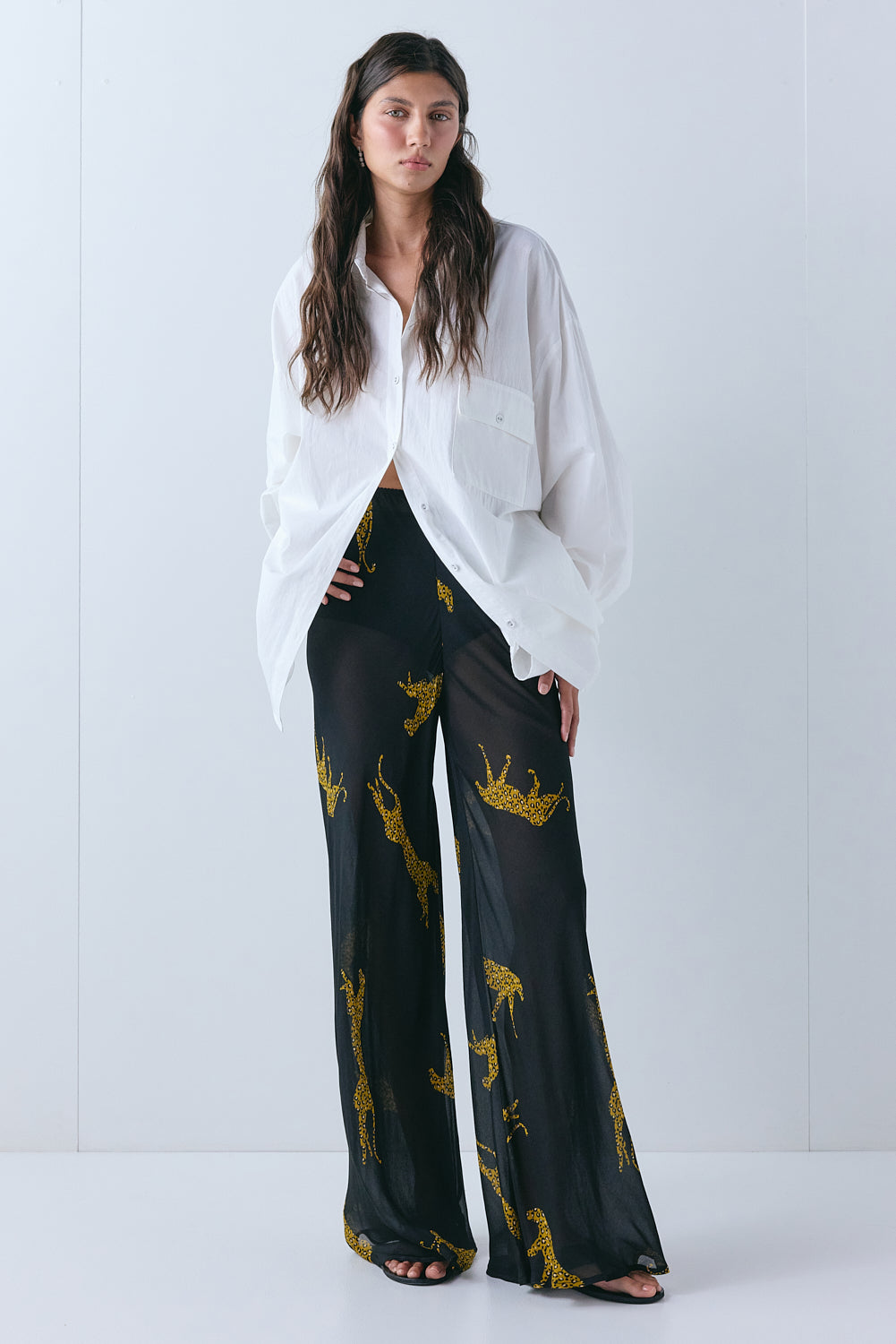 Jordan Sheer Pants Cheetah - size:Aida:AU 6 / US 2