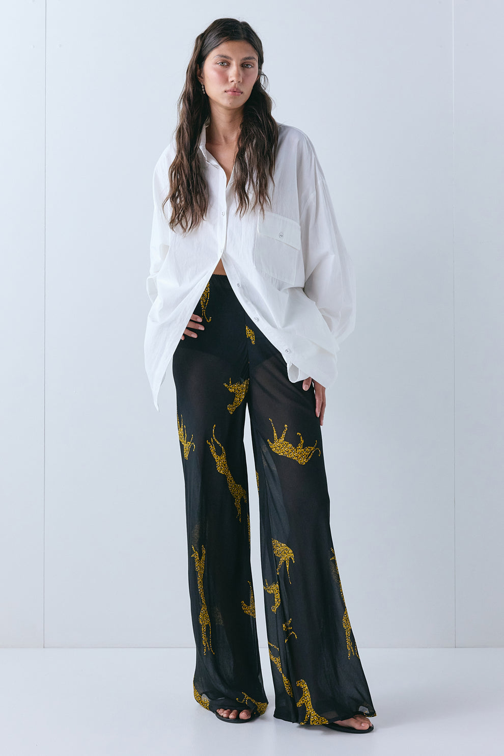 Jordan Sheer Pants Cheetah - size:Aida:AU 6 / US 2