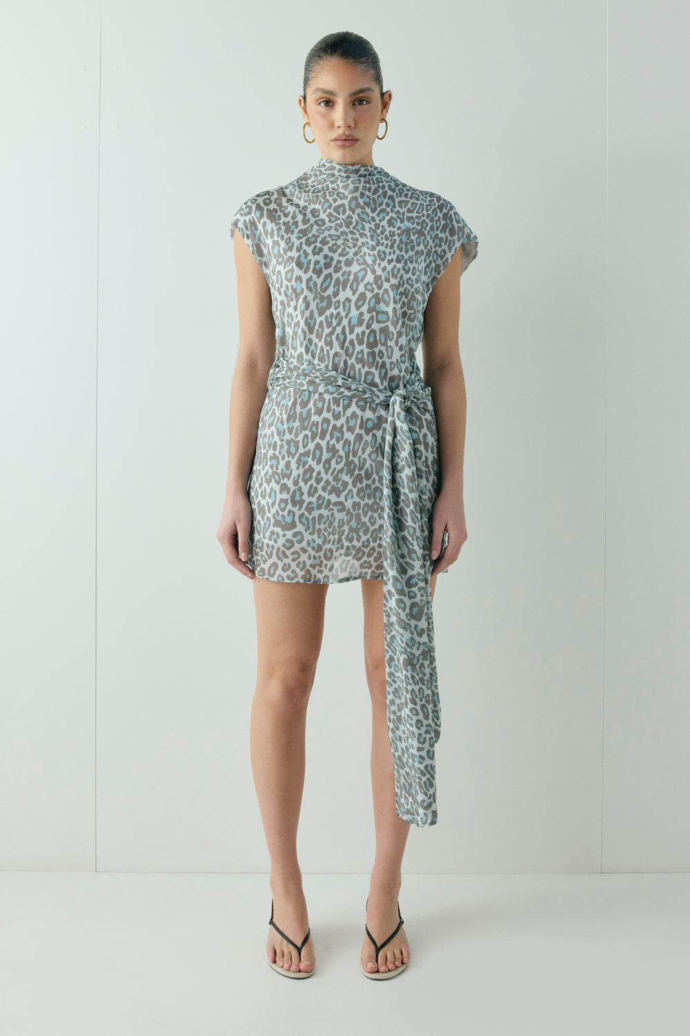 Nuri Mini Dress Blue Leopard