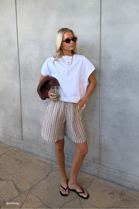 Astra Shorts Brown Stripe