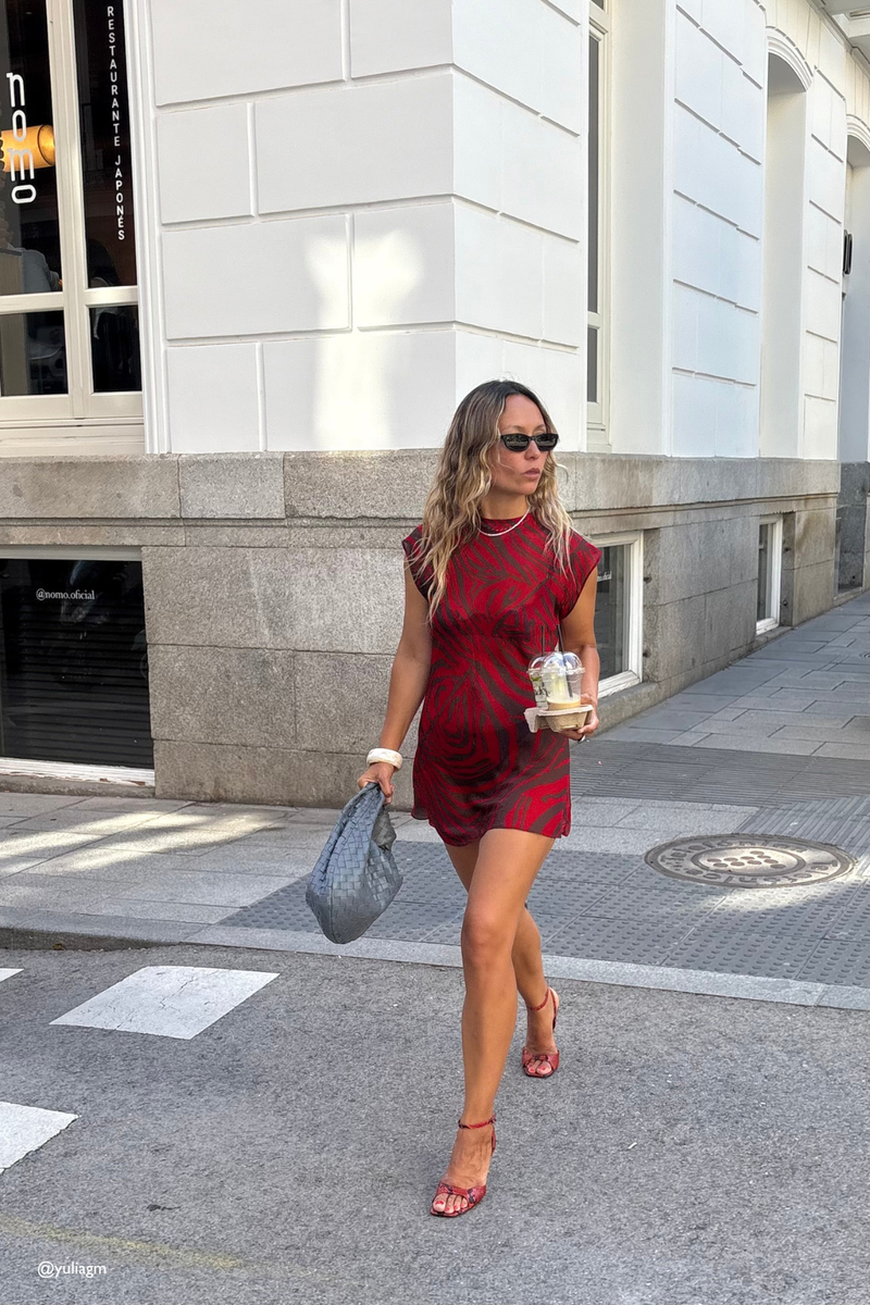 Ames Sheer Mini Dress Red Zebra