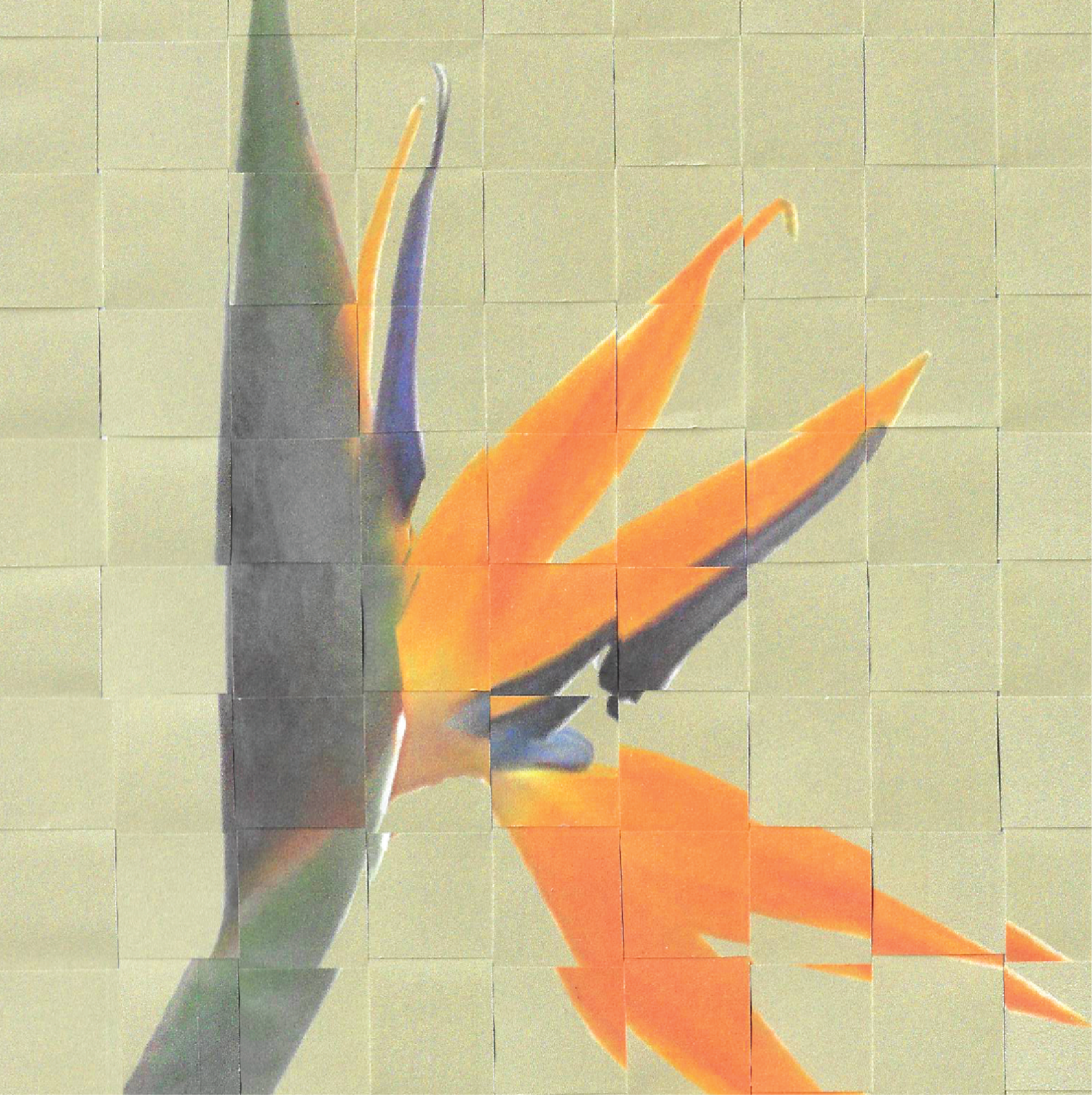 colour-swatch-image