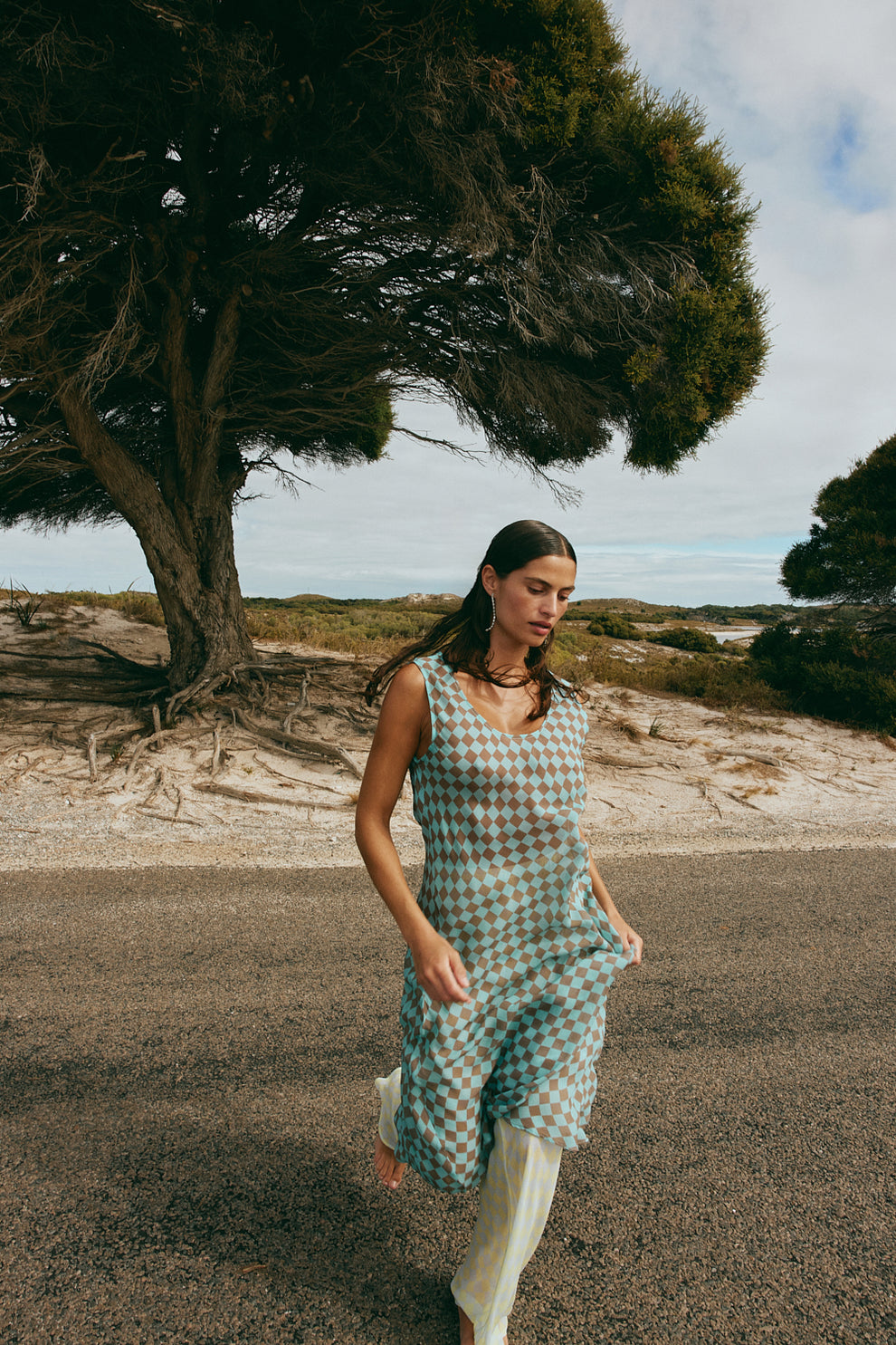 Alora Sheer Maxi Dress Anais