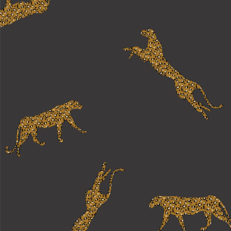 colour-swatch-image